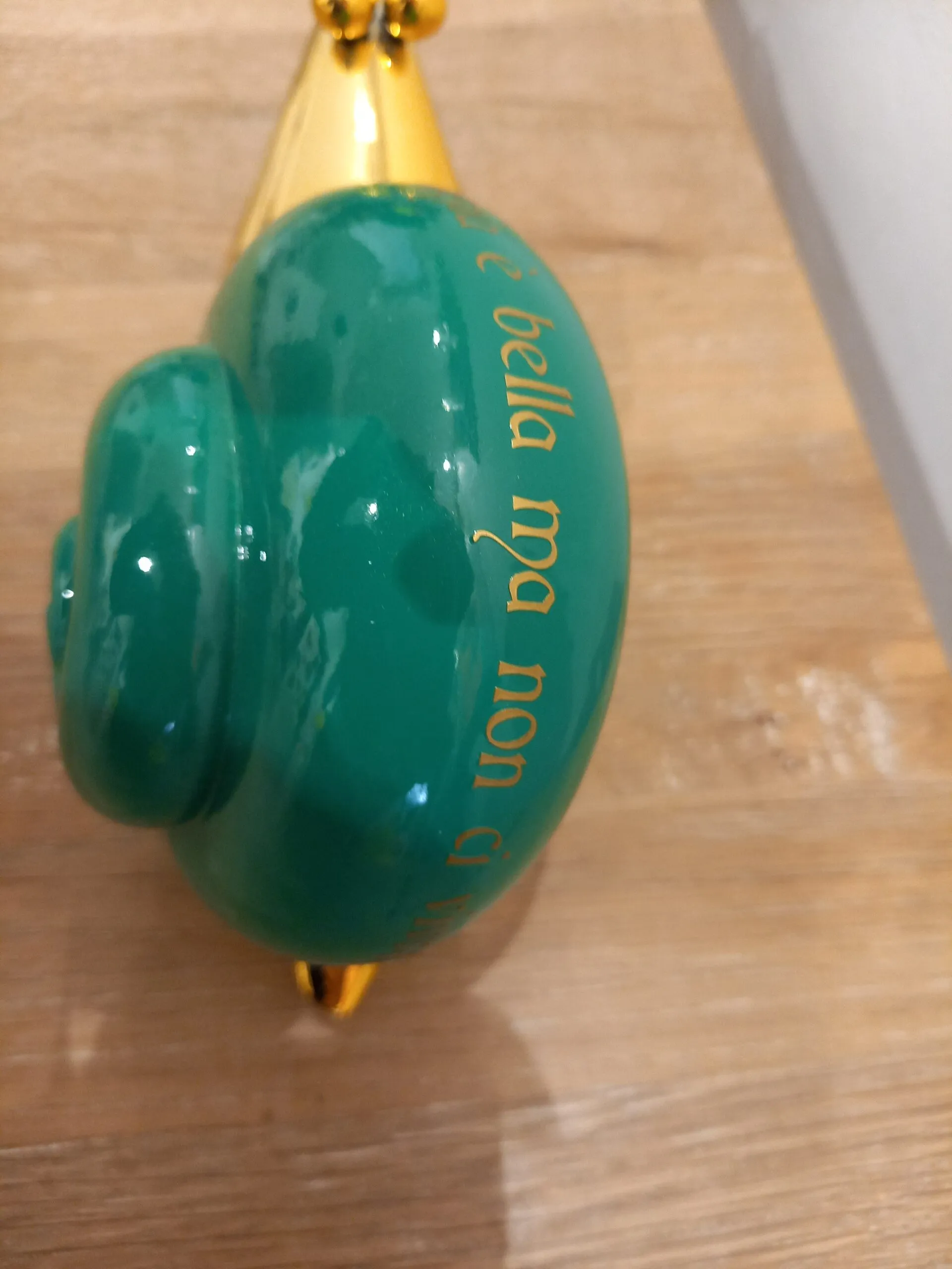 Venezia è Bella Ma Non Ci Vivrei Snail (small) - immagine 3